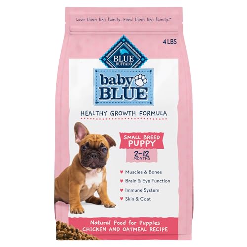 10 Best Puppy Food For Small Breeds Dogtime